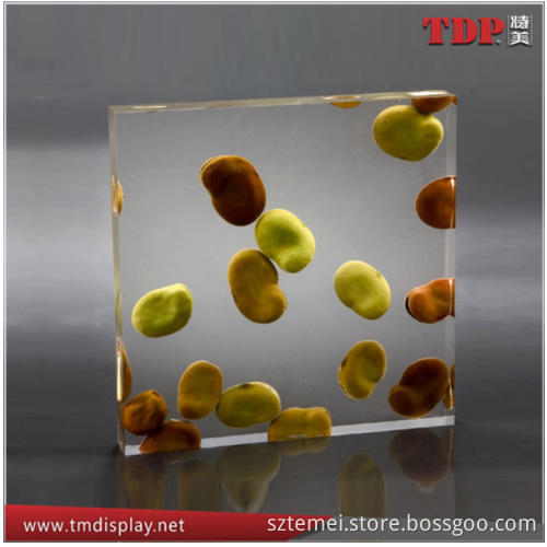 factory manufacture handmade embedding resin crafts with flower leaves beans shell grass animal branches embedment